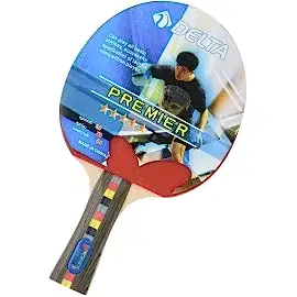 5 YILDIZ MASA TENİS RAKETİ