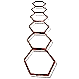 PROFESYONEL ALTIGEN KOORDİNASYON ÇEMBERİ