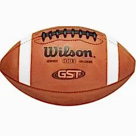 WİLSON AMERİKAN FUTBOL TOPU